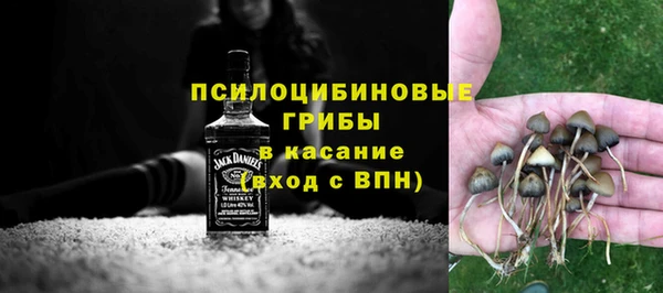 индика Рославль