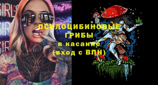 mix Протвино