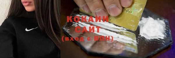 индика Рославль
