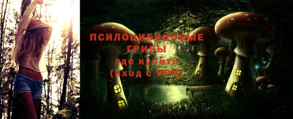 гашик Пролетарск
