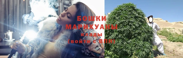сатива Елизово