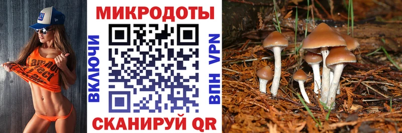 Галлюциногенные грибы GOLDEN TEACHER  Сердобск 