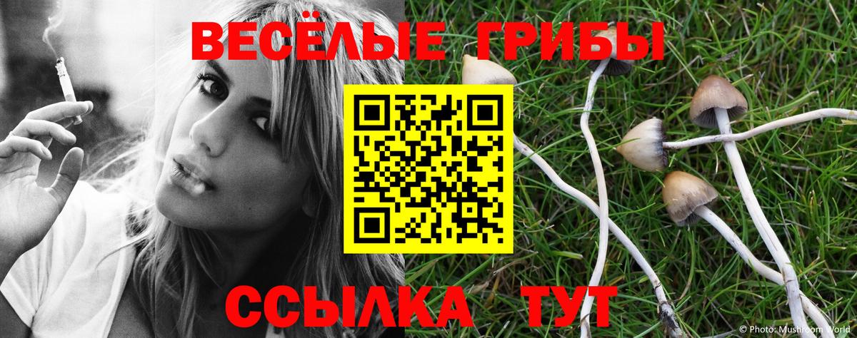 Галлюциногенные грибы MAGIC MUSHROOMS  Вход с VPN  Сердобск 